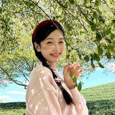 再见维也纳